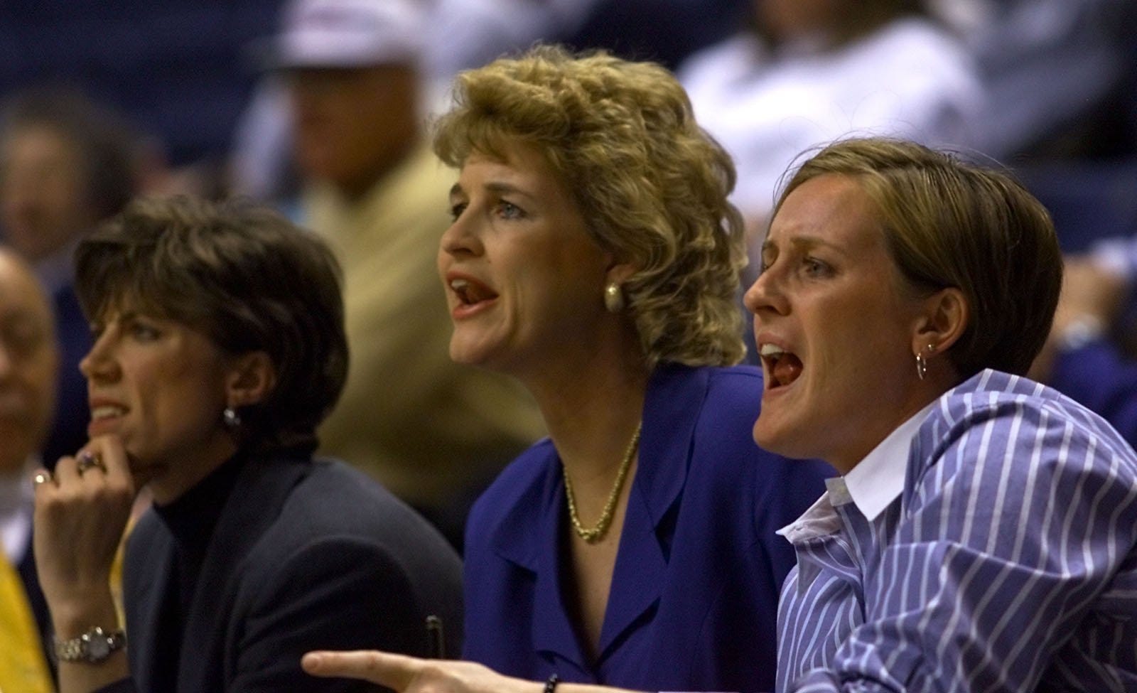 Drake coaches Jan Jensen, Lisa Bluder and Jenni Fitzgerald, left to right, cheer on Bulldogs during first half play against Clemson in NCAA women's east regional tournament, March 17, 2000, at Gampel Pavilion.